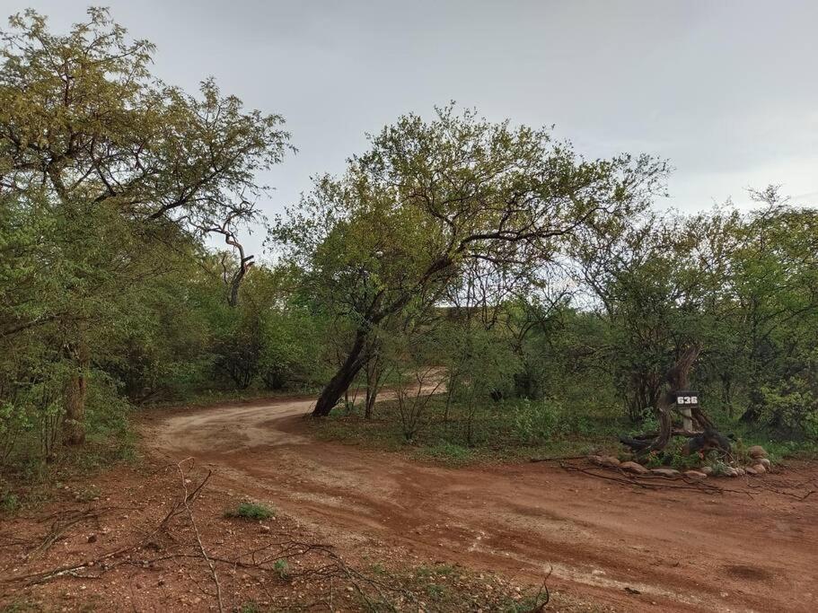 Bush Hoedspruit
