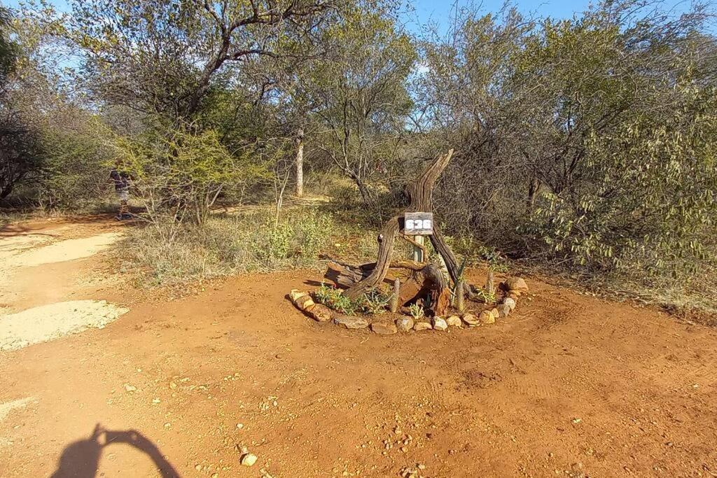Bush * Hoedspruit